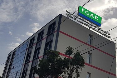 New Services from the Loan Guarantee Fund for Small and Medium Enterprises