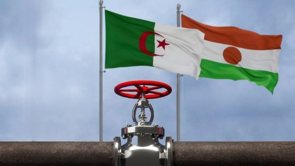 Nigerian Delegation Visits Algeria to Enhance Cooperation in the Hydrocarbons Sector