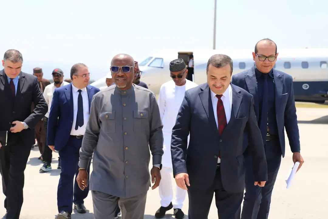 Nigerian Minister of Petroleum Resources in Charge of Gas Arrives in Algeria