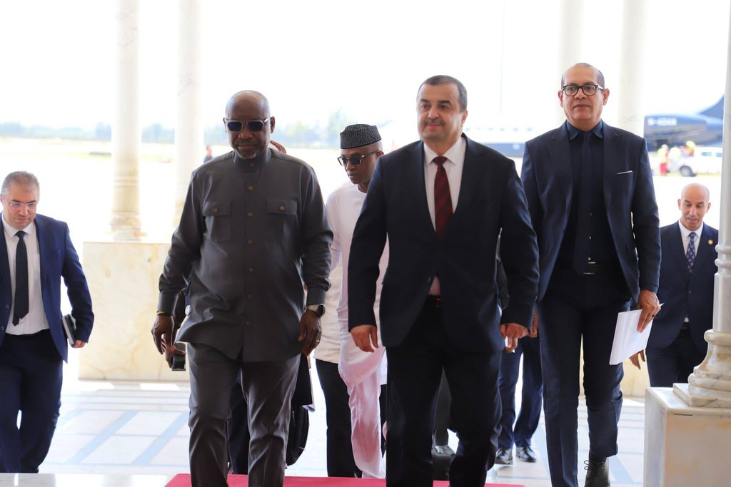 Nigerian Minister of State for Petroleum Resources in Charge of Gas on a Working Visit to Algeria