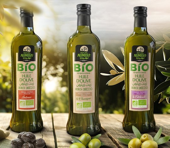 Numidia, the olive oil from Béjaïa: Between millennial heritage and international ambition