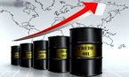 Oil prices rise to their highest level in 4 months