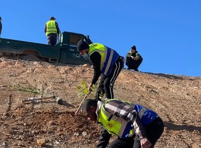 On the Tracing of the Western Mineral Railway Line to Béchar: Launch of a Bush Planting Operation