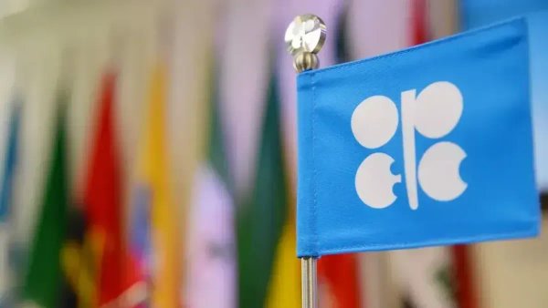 "OPEC": First official Algerian statement after the Emirati decision
