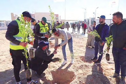 Operation to plant 5 million trees in one day: The tree that makes the forest