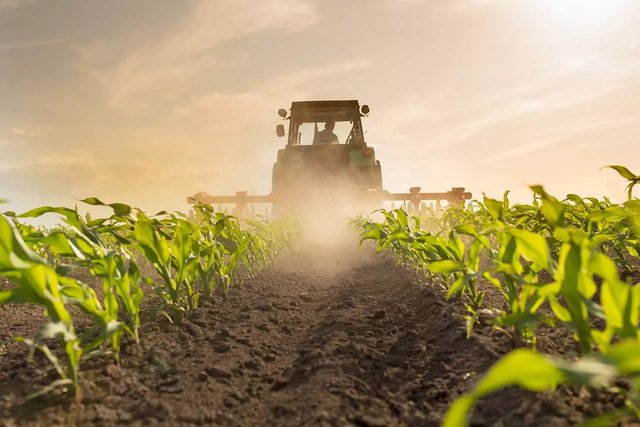 Organic Fertilizer: A National Sector by Wilaya