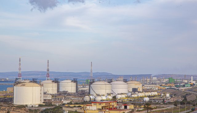 Plastics and SMEs: The Strategic Impact of Polypropylene from Arzew