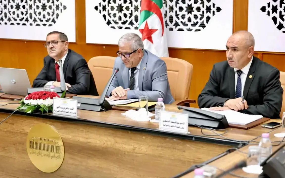 PLF 2027: The finance committee hears the director general of customs