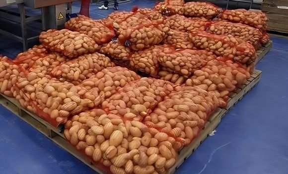 Potatoes: De-stocking of over 2,400 tons in 4 wilayas of the Center