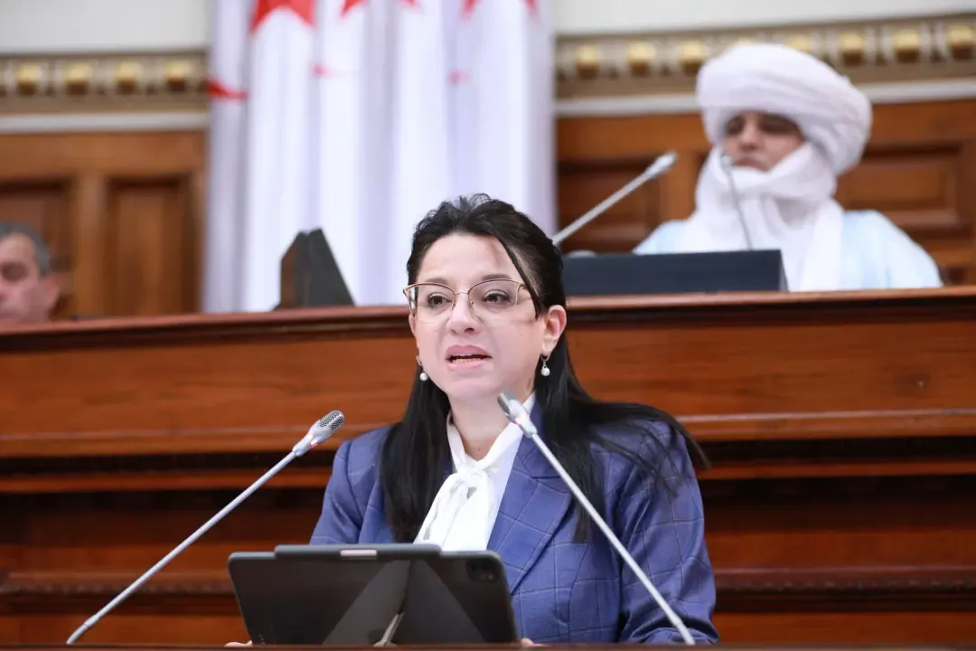 Preparation for the Implementation of a New Wholesale Food Market Project in the Capital