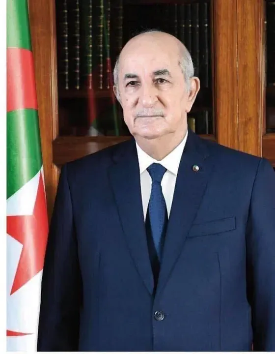 President Tebboune chairs a working meeting on the mining and iron sector