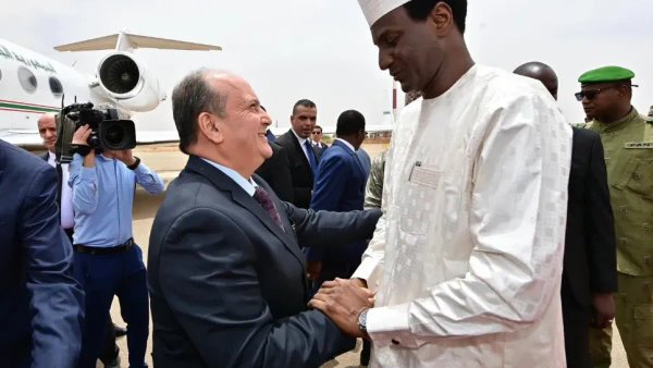Prime Minister of Niger (Video)