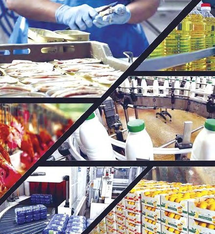 Produce, transform, export: The new horizons of agricultural production