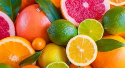 Production exceeds 1.3 million quintals of citrus in Algiers