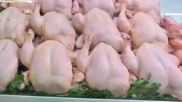 Pumping significant quantities of frozen chicken