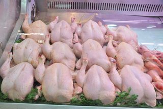 Ramadan: Gradual Supply of Significant Quantities of Frozen Chicken in the Market at 330 DZD/kg