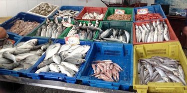 Ramadan: Nearly 400 Direct Sales Points for Fishery Products Nationwide