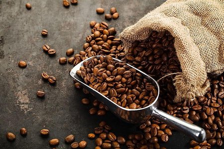 Report: Global Coffee Production to Reach Record Levels in 2026/2027 Season