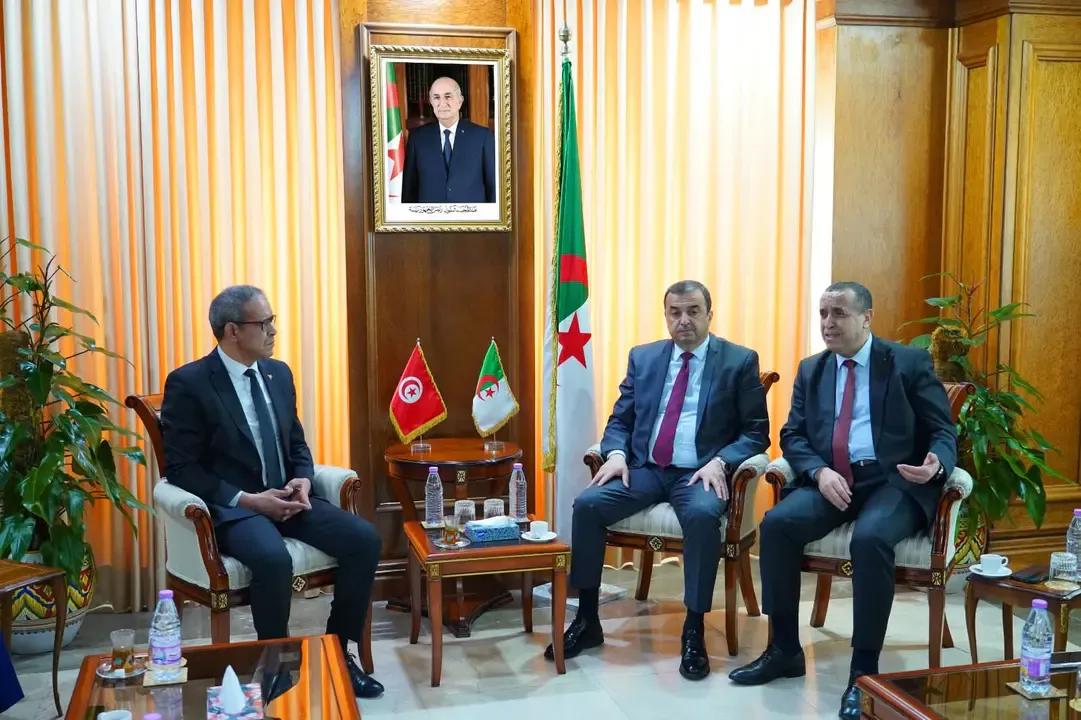 Review of Algerian-Tunisian Cooperation Prospects in Energy, Hydrocarbons, and Mining