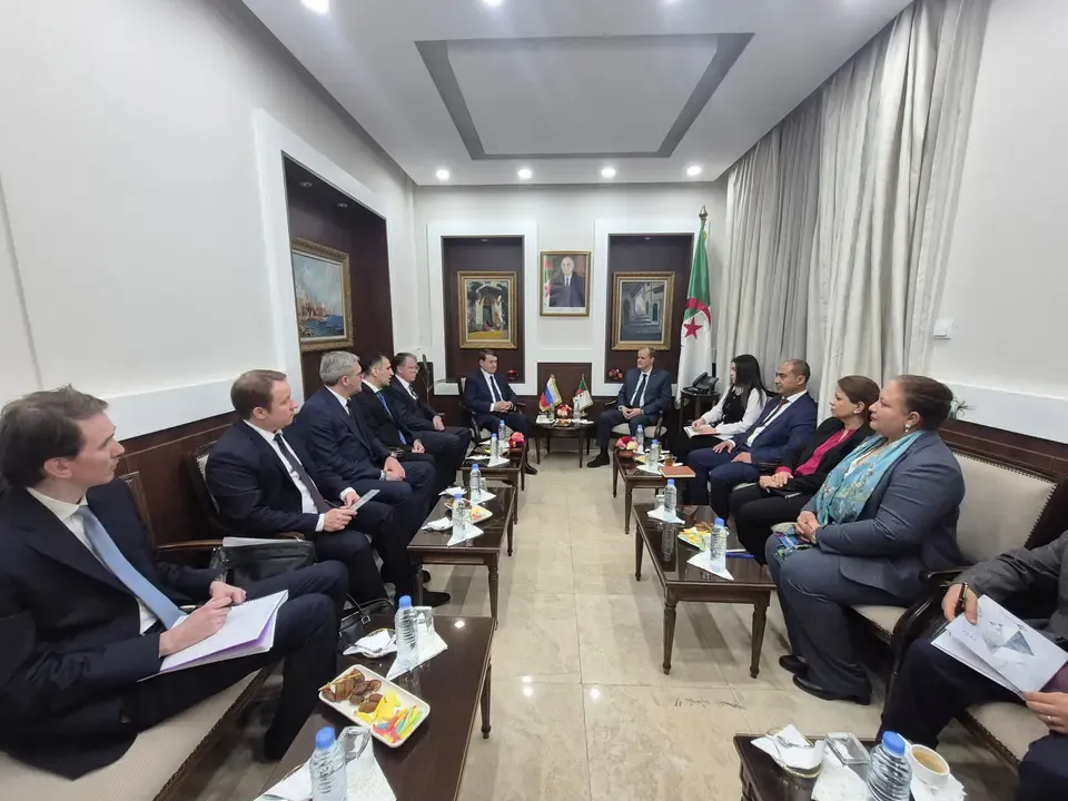 Rzeig receives Russian presidential advisor for international transport cooperation