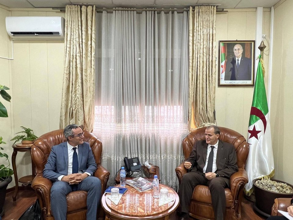 Rzig discusses with the CEO of 'Fiat Algeria' the integration of local spare parts into the international distribution network