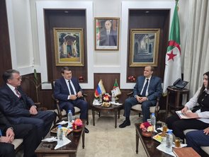 Rzig receives Russian presidential advisor for international transport cooperation