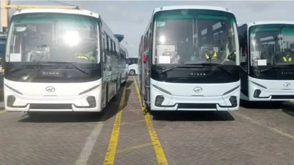 Sayoud talks about imported buses