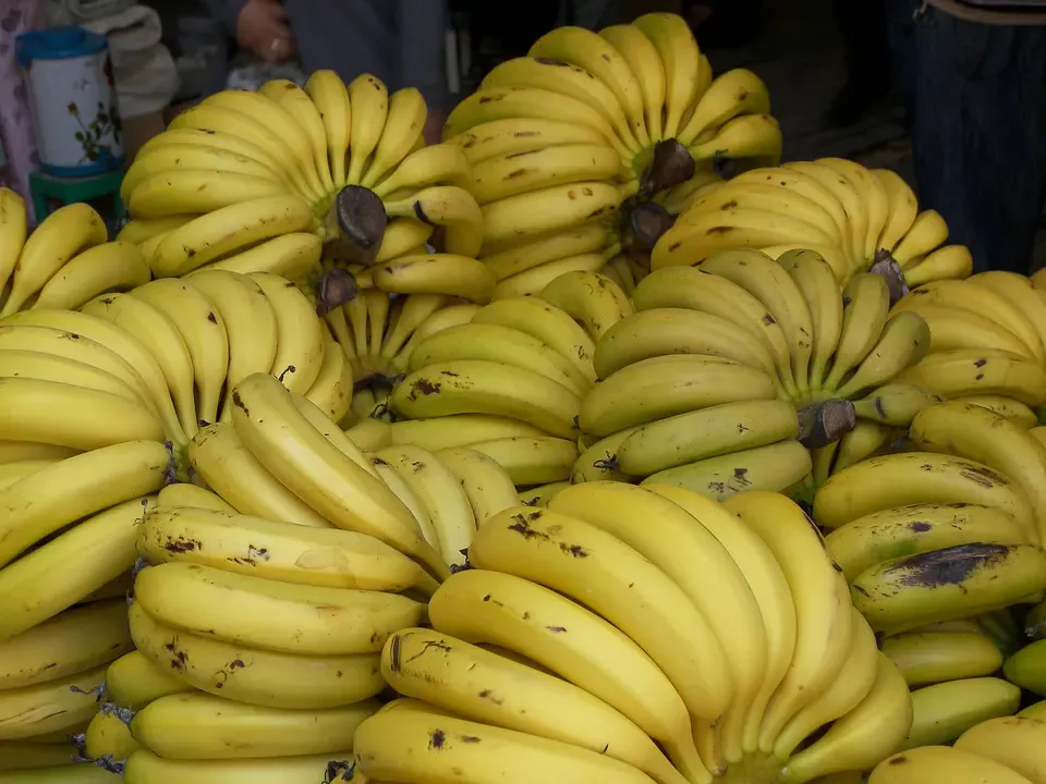 Seizure of over 10 tons of bananas intended for speculation in Souk Ahras