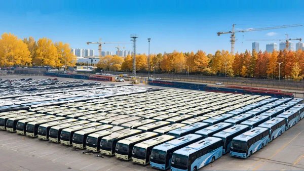 Shipping 3,000 new buses to Algeria
