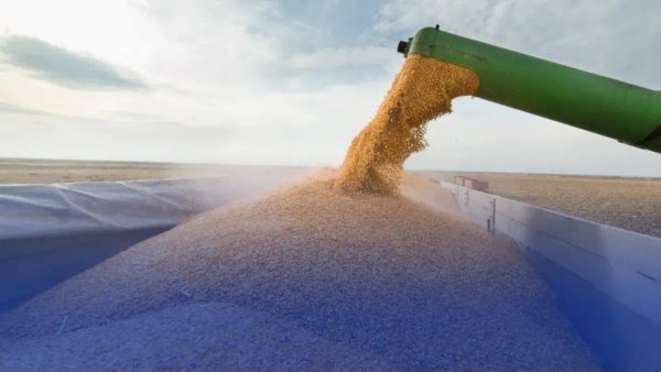 Shipping significant quantities of corn through four ports