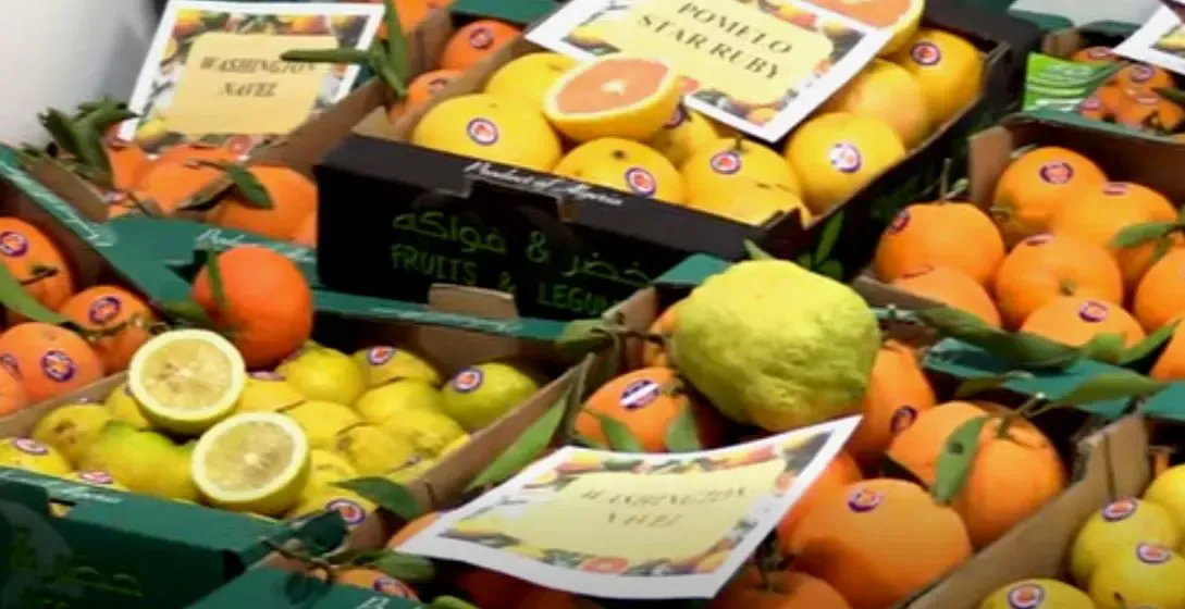 Significant production capacities in Algiers thanks to reliance on intensive farming