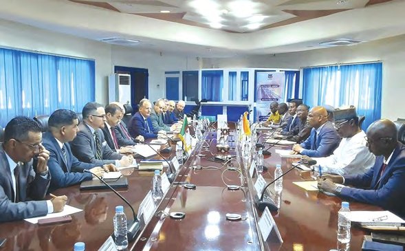 Sonelgaz at work in Niger: Algeria at the service of Africa