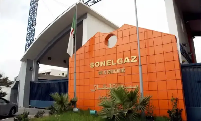 "Sonelgaz" resumes cooperation with Nigerian "NIGELEC"