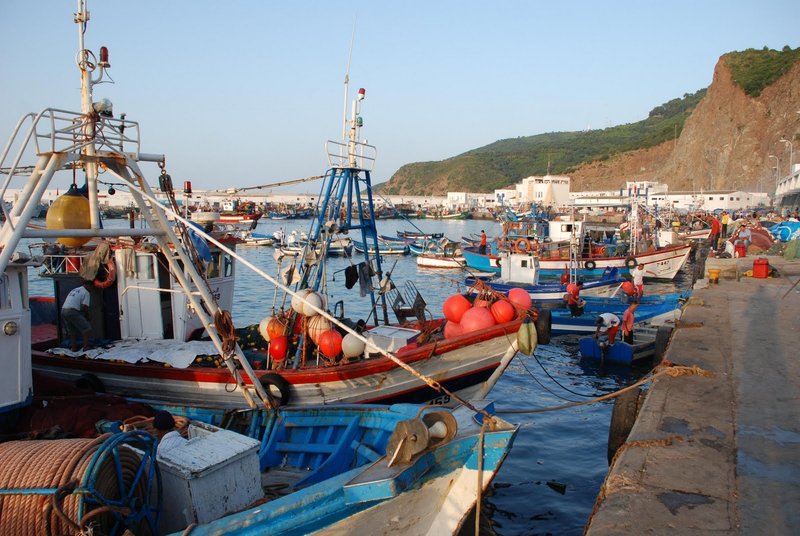 Soon.. New Incentive Measures to Support Investment in Fisheries