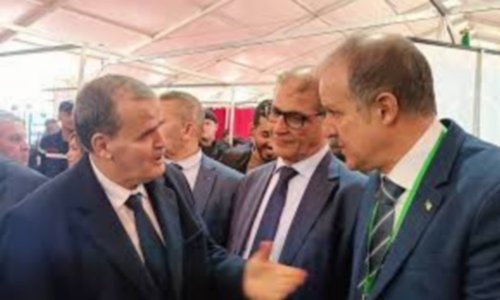 Tamanrasset Will Not Be a Hub for Launching Goods to Africa Only, But Will Be a Special Industrial Hub
