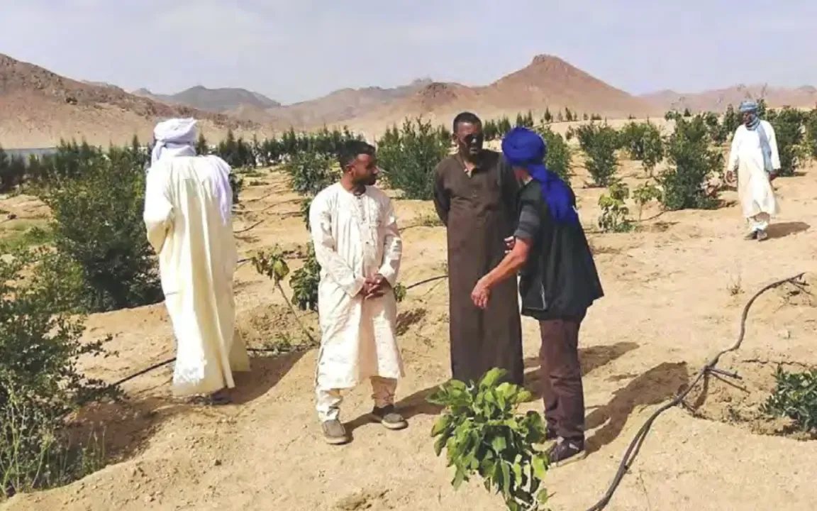 Tazrouk (Tamanrasset): Agriculture facing the challenge of water and modernization
