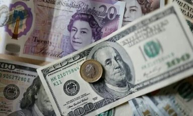 The dollar stabilizes near a six-week high