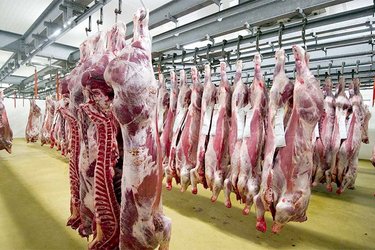The launch of marketing imported and locally slaughtered meat soon - Iqtissad Al Balad