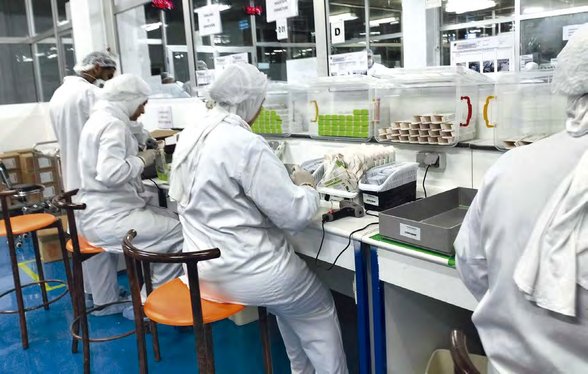 The national pharmaceutical industry: An Algerian 'miracle'