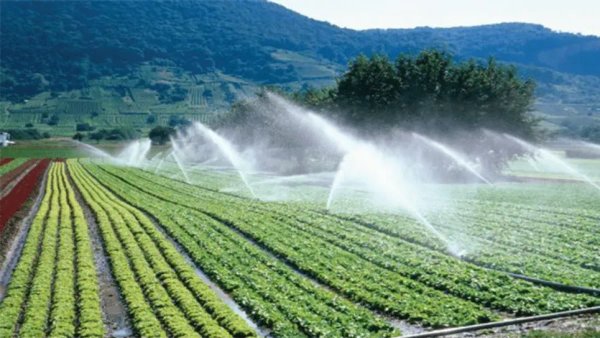 The necessity of preparing a stock of agricultural inputs to face the repercussions of the Iranian war