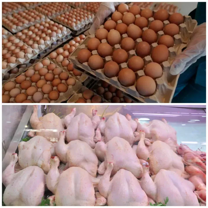 The 'ONAB' Group outlines a program to enhance the supply of white meat to the national market
