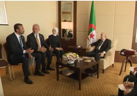 The President of the Republic receives representatives of the companies 'Tosyali' and 'Tayal' in Turkey