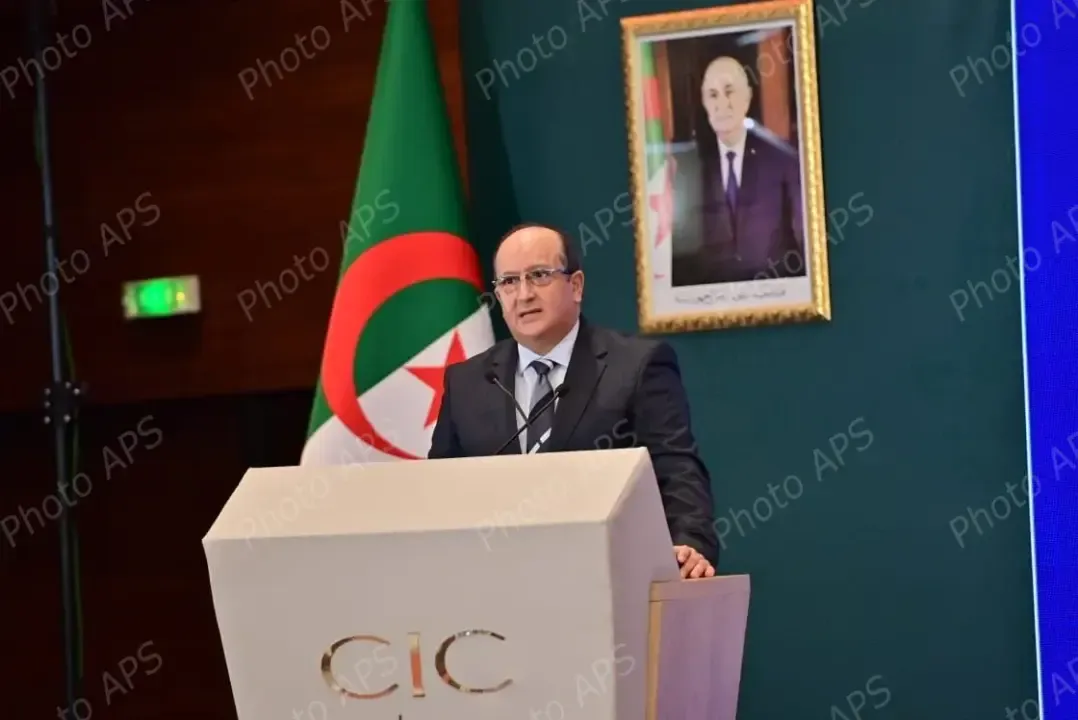 The Prime Minister Highlights Algeria's Role in Enhancing African Integration within a National Vision to Diversify the Economy