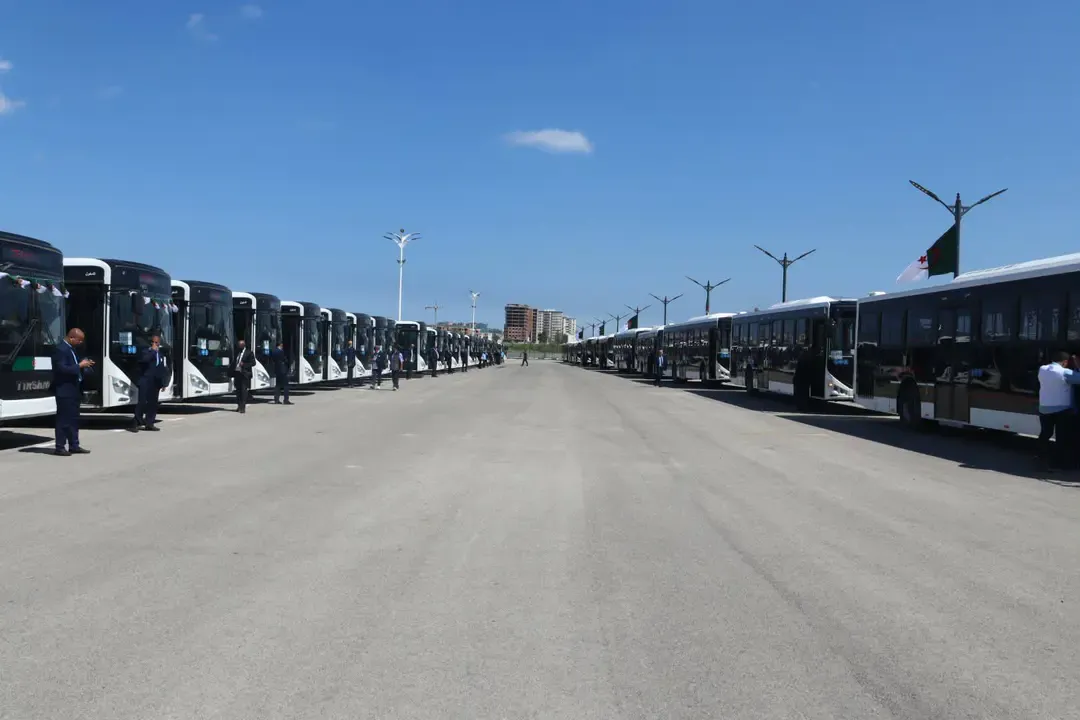 The Public Establishment for Urban and Suburban Transport is reinforced with 50 new buses