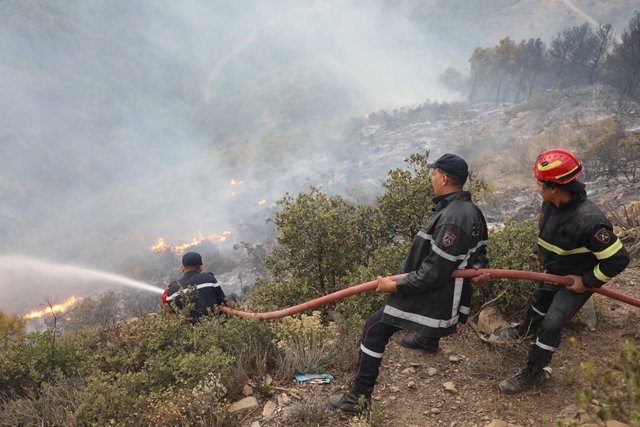 The wilaya publishes its five-year report on its fight against forest fires: Blida rises to the challenge
