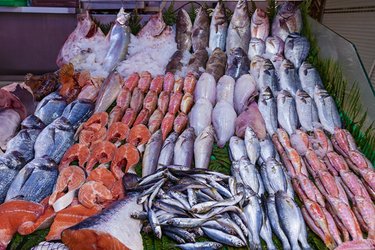 These Mauritanian fish will soon be on Algerian tables