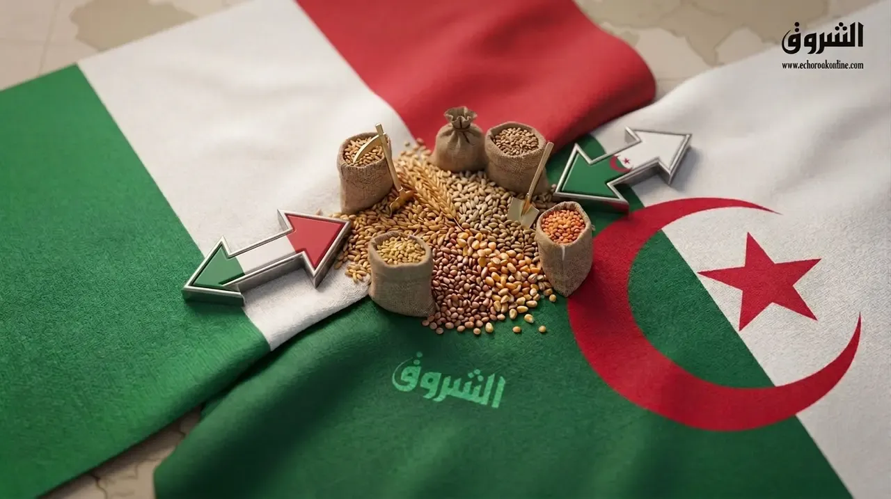 Timimoun Project Leads Expansion of Agricultural Cooperation Between Algeria and Italy