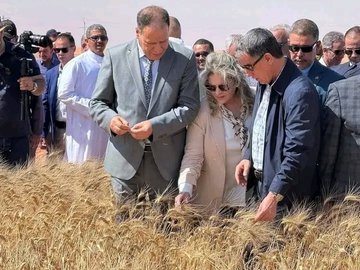 Towards Achieving Self-Sufficiency: The Start of the Harvest and Threshing Season for 2026 - Iqtissad Al Balad