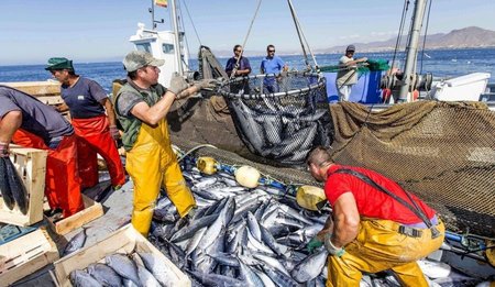 Towards the establishment of a national mechanism to support fishermen during downtime