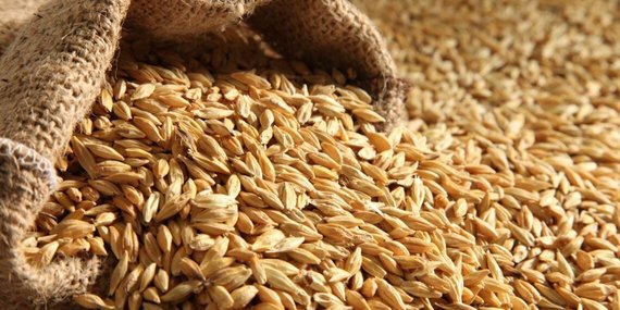 Traders: Algeria buys a quantity of barley feed in an international tender